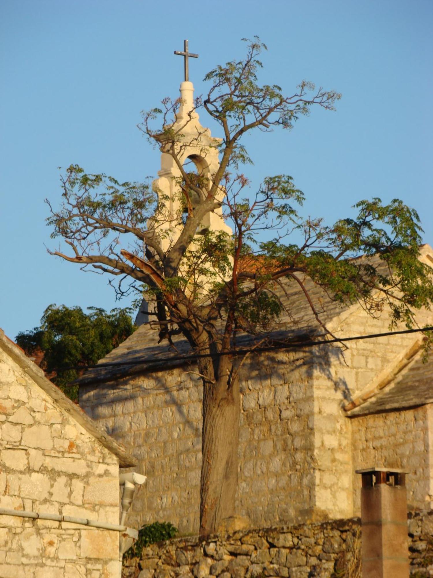 Villas Oleandri Vrboska Exterior photo